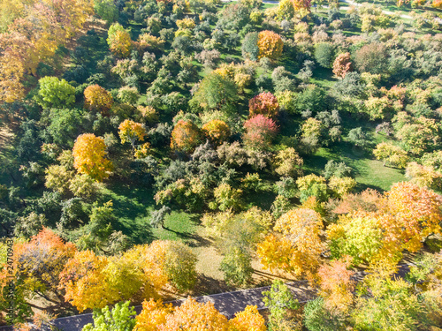 picturesque natural scene, aerial top view. beautiful trees with bright colorful foliage growing in autumnal park © Mr Twister