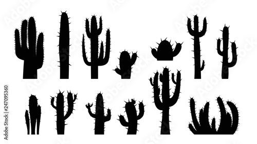 cactus set on white