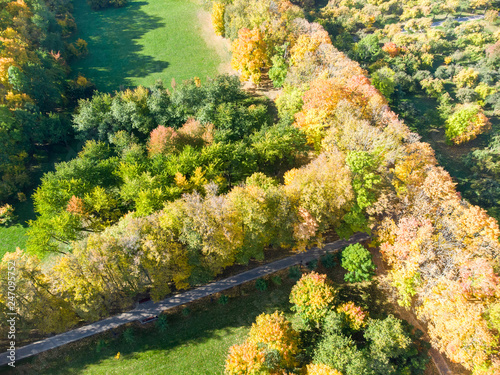 natural landscape scene. park in autumn with bushy trees with bright colorful autumnal foliage, top view
