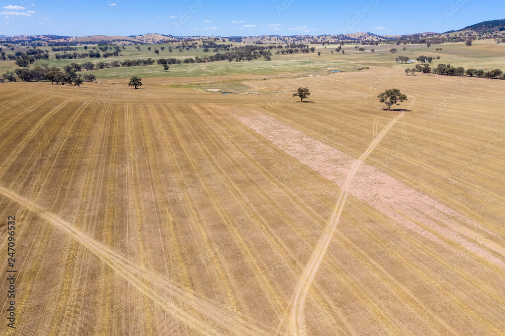 Obraz premium Farmland - Cowra NSW Australia. Central western NSW farmland - Australia