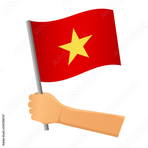 Vietnam flag in hand