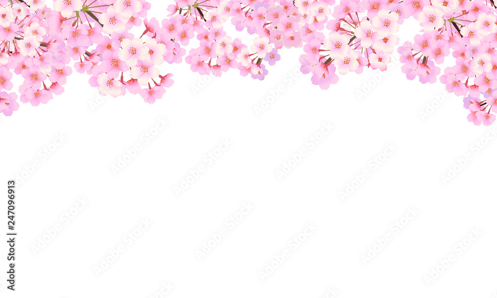 桜 背景素材 １４ Stock Vector Adobe Stock