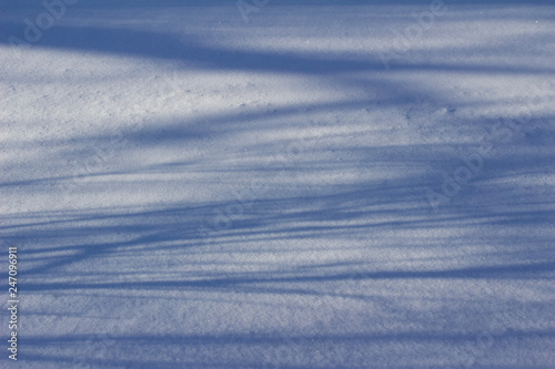 Winter snow texture abstract background with tree shadows cast from low angle sun