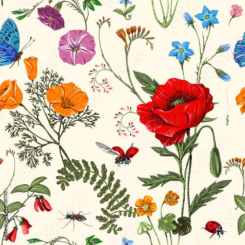 Summer vector seamless pattern. Botanical wallpaper. Plants, insects, flowers in vintage style. Butterflies, beetles and plants in the style of Provence. Drawn nature wallpaper. Summer background