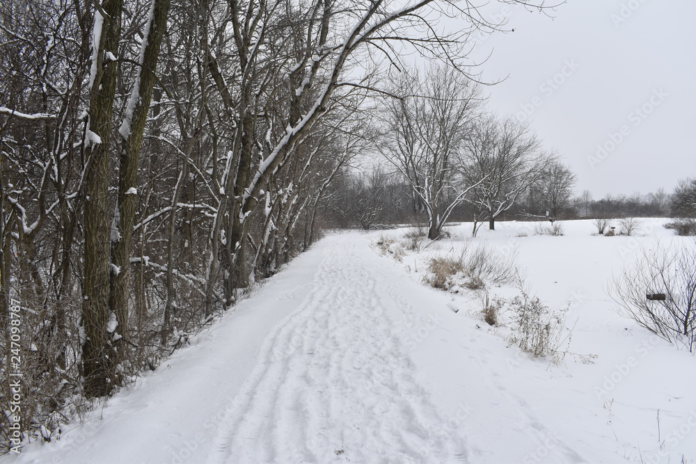 snowy road in winter snowy road in winter
