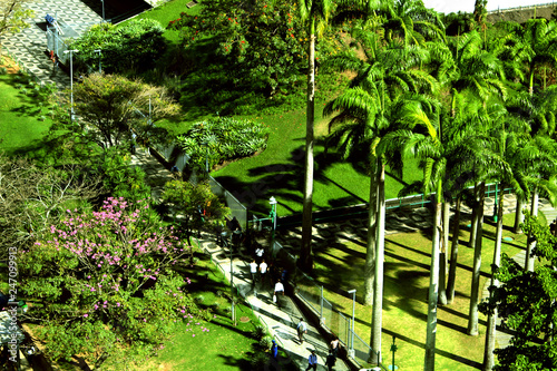 BNDES building garden, Rio de Janeiro, landscaping by Roberto Burle Marx photo