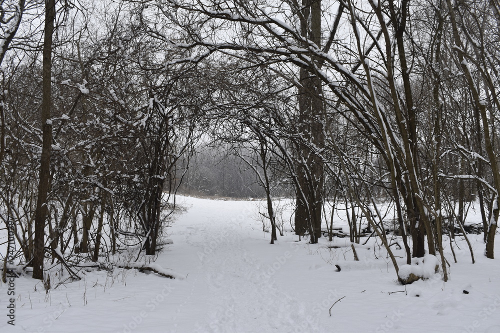 winter in the park winter in the park