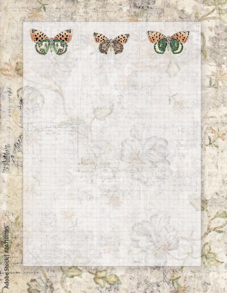 Botanical Vintage Butterfly Stationary Letterhead