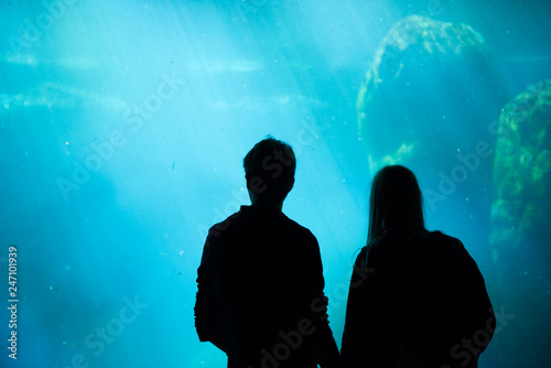 lovers in the aquarium