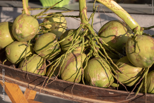 Many green Coconut with a sweet, delicious flavor , coconut fruits for sale in the market,Thailand photo