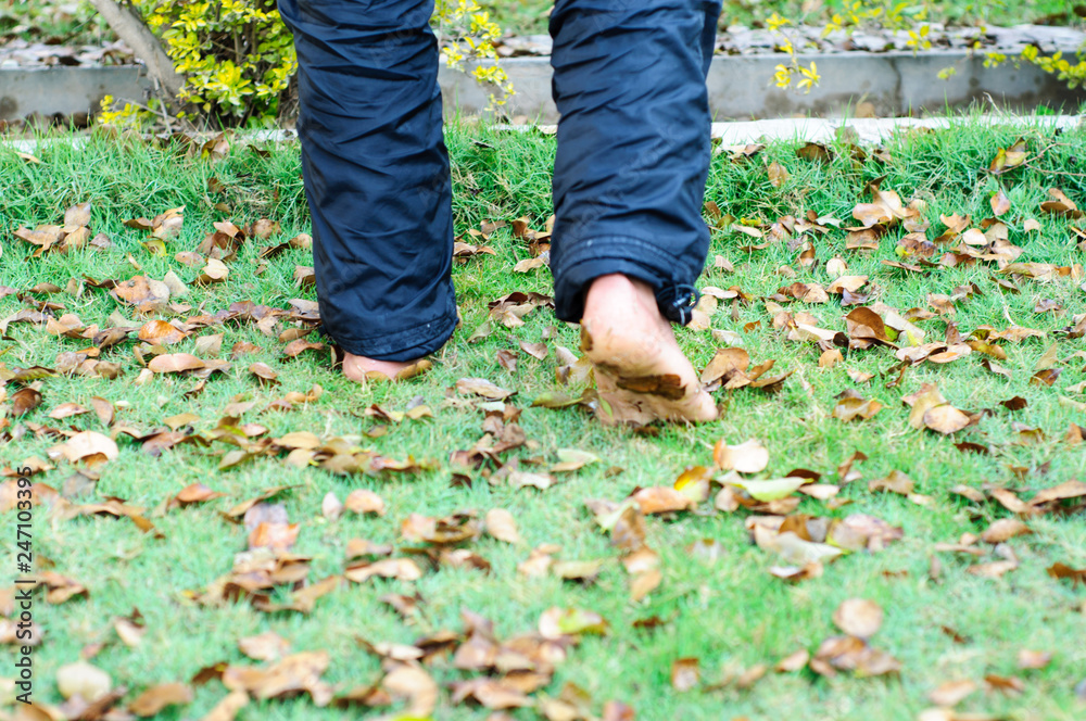 Morning walk on the wet grass Morning walk on the wet grass