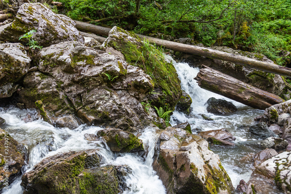 Stormy mountain river in the forest in Altai, Russia Stormy mountain river in the forest in Altai, Russia