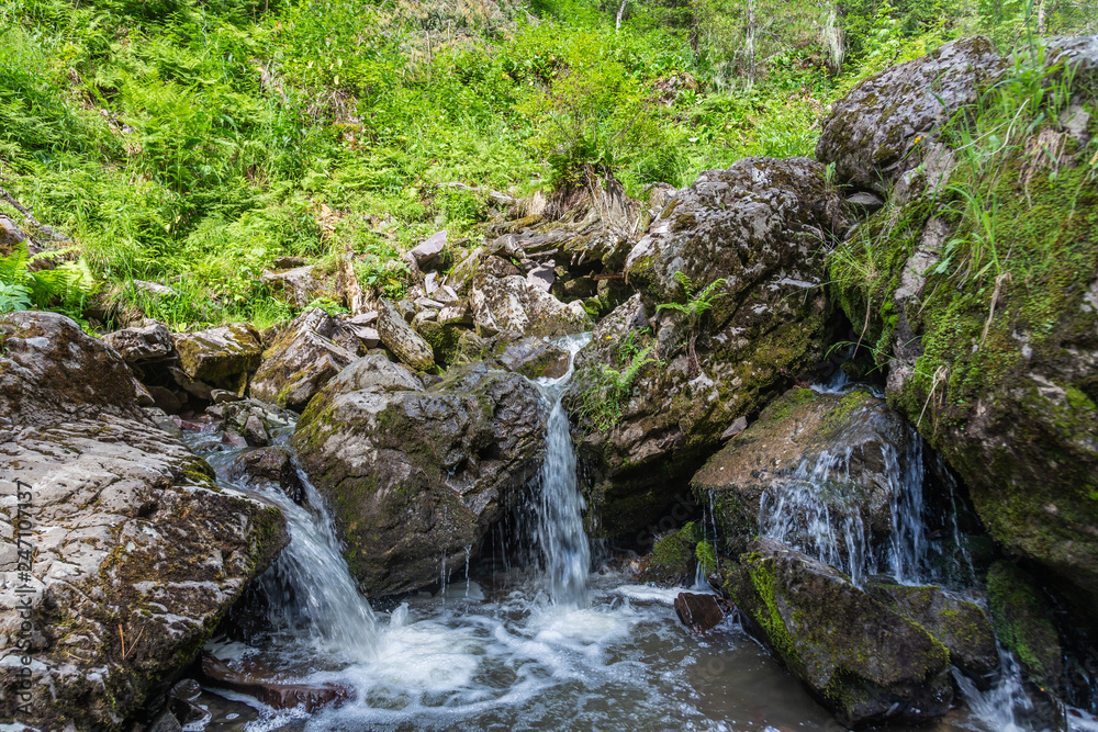 Stormy mountain river in the forest in Altai, Russia Stormy mountain river in the forest in Altai, Russia
