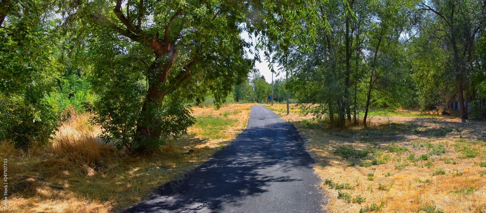 Fototapeta premium Views of Jordan River Trail with surrounding trees, Russian Olive, cottonwood and silt filled muddy water along the Wasatch Front Rocky Mountains, in Salt Lake City, Utah.