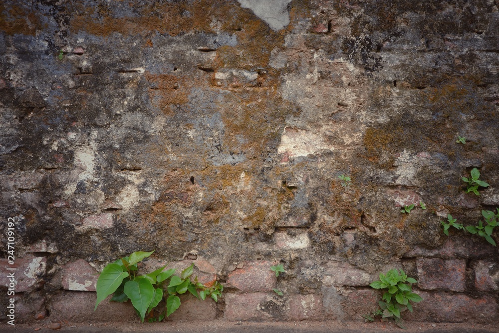 Old red brick wall texture pattern and background. Old red brick wall texture pattern and background.