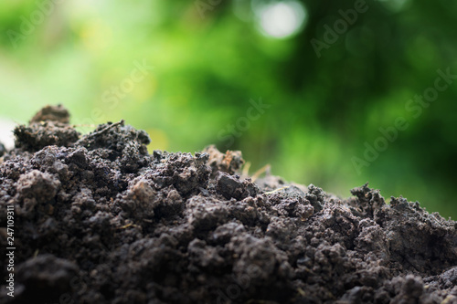 Soil for planting enriched with essential minerals needed for plants white green bokeh background.