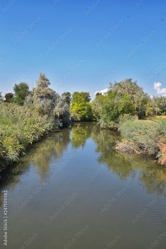 Views of Jordan River Trail with surrounding trees, Russian Olive, cottonwood and silt filled muddy water along the Wasatch Front Rocky Mountains, in Salt Lake City, Utah. Views of Jordan River Trail with surrounding trees, Russian Olive, cottonwood and silt filled muddy water along the Wasatch Front Rocky Mountains, in Salt Lake City, Utah.