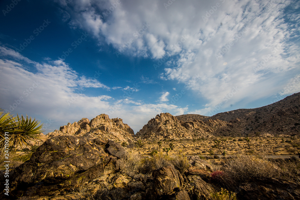 Joshua Tree National Park Joshua Tree National Park