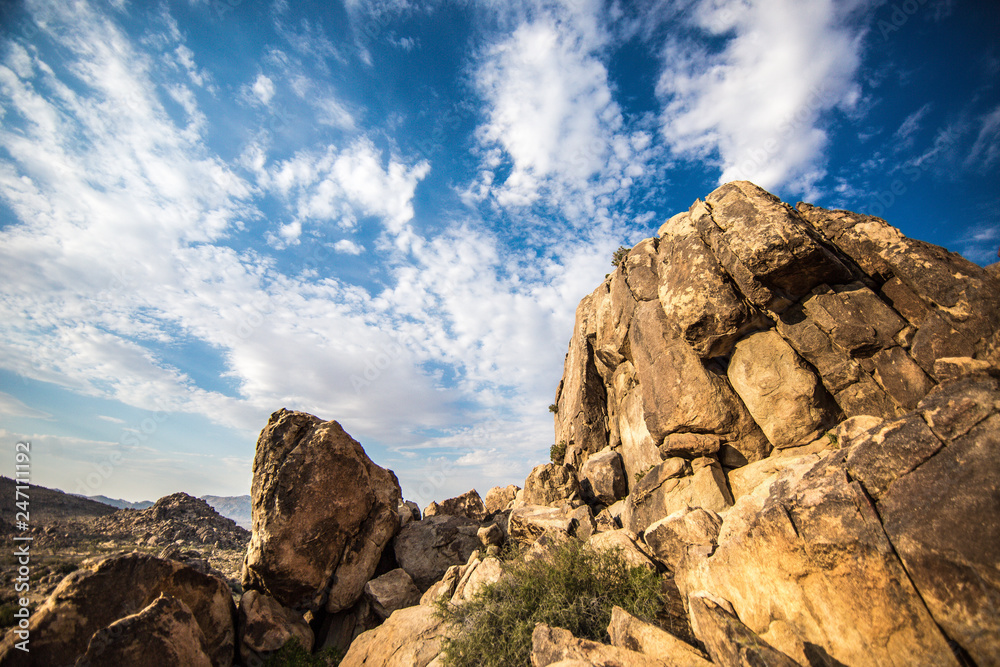 Joshua Tree National Park