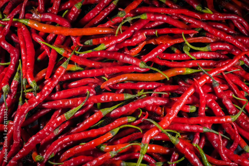 Chili collection Background Photo