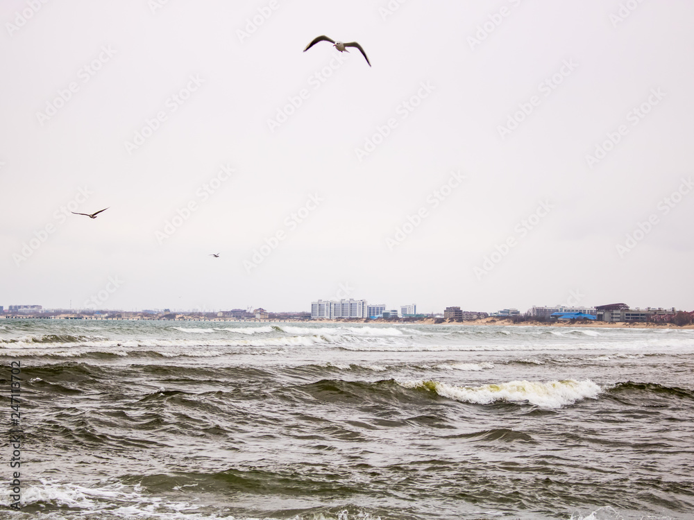 Restless sea against the backdrop of a rising city in cloudy weather. Flying seagulls in the gray sky.
