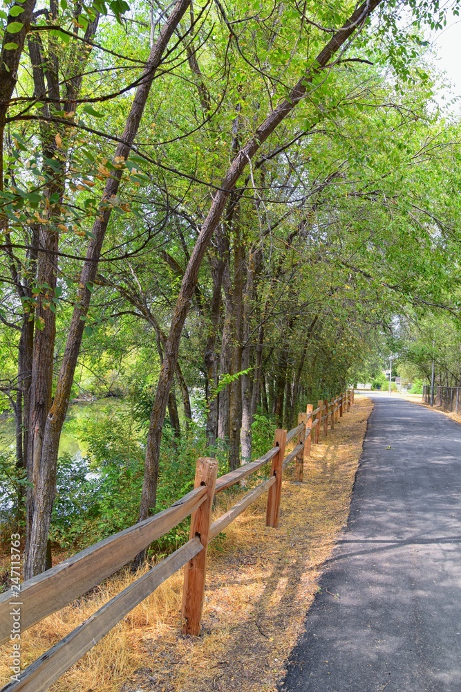 Obraz premium Views of Jordan River Trail with surrounding trees, Russian Olive, cottonwood and silt filled muddy water along the Wasatch Front Rocky Mountains, in Salt Lake City, Utah.