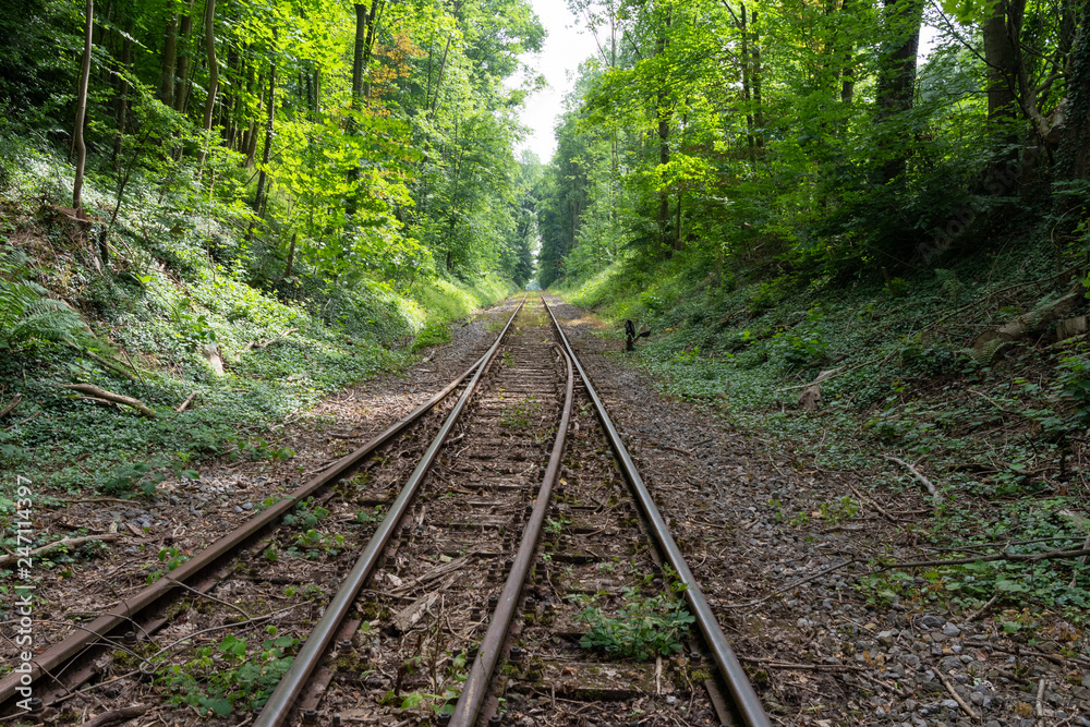 The railroad in a forest ,Germany The railroad in a forest ,Germany