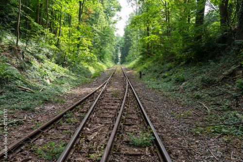 The railroad in a forest ,Germany