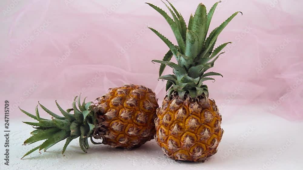 fresh mini pineapple on white background. Pineapples from Thailand fresh mini pineapple on white background. Pineapples from Thailand