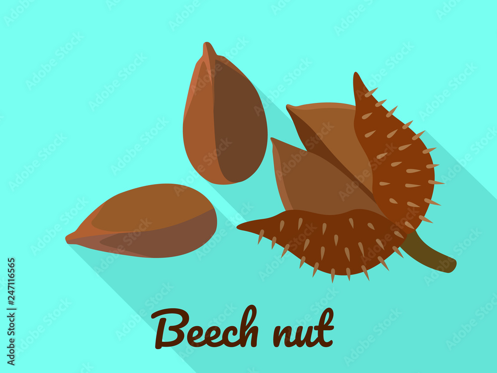Beech nut icon. Flat illustration of beech nut vector icon for web design - obrazy, fototapety, plakaty 