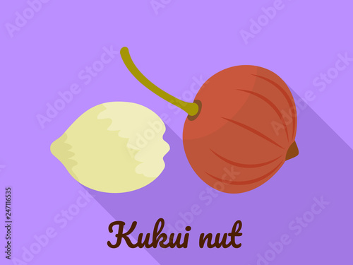 Kukui nut icon. Flat illustration of kukui nut vector icon for web design
