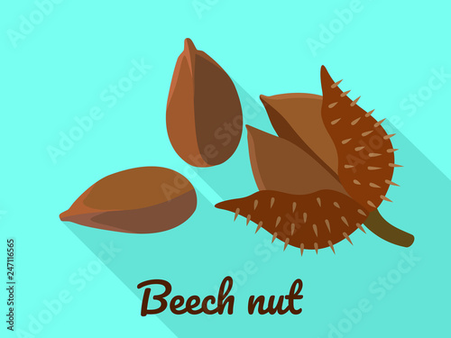 Beech nut icon. Flat illustration of beech nut vector icon for web design