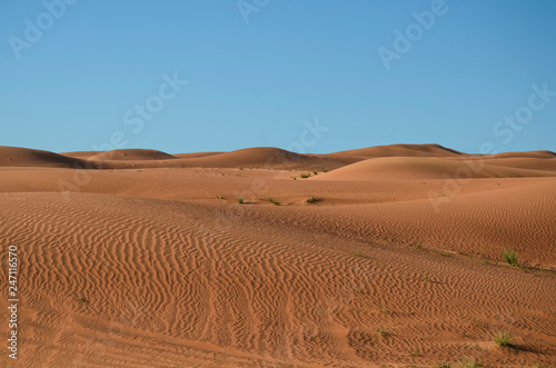 Sand dunes of Dubai