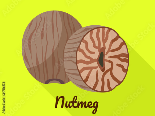 Nutmeg icon. Flat illustration of nutmeg vector icon for web design