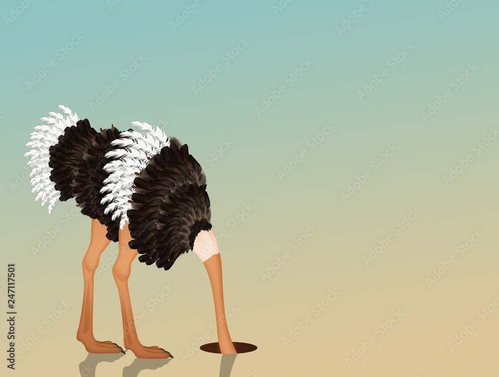 ostrich with his head in the sand Stock Illustration Adobe Stock