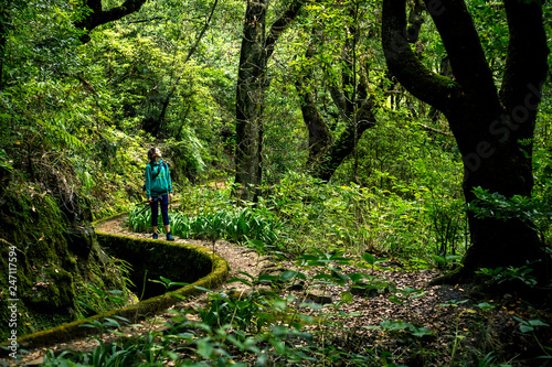 Portrait of young girl in green sweatshirt walking by levana on Madeira island, up in mountains. Hiking by the trail among green, tropical and old forests. Portugal.