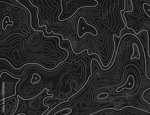 Terrain map. Topographic contouring line cartography texture. Topographical relief map. Geographic vector background flat