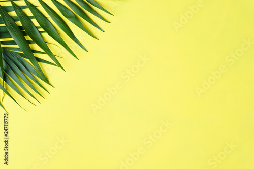 summer vacation, travel. ocean shore, tropical beach, sea coast. exotic palm leaves on bright background. minimal summertime concept. creative layout, banner or poster template with copy space