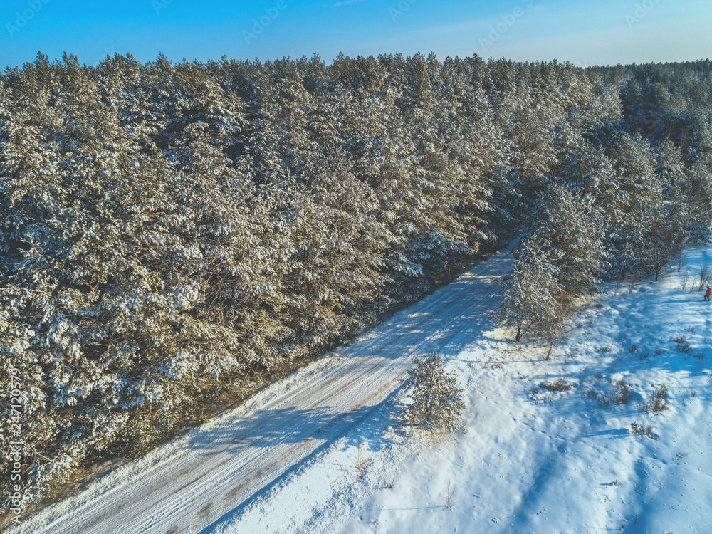 Snowy road along the winter pine forest. Pine trees covered with snow. Winter nature