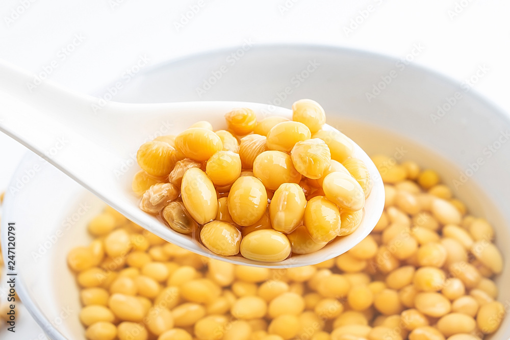 a bowl of soaked soy / wet soy beans a bowl of soaked soy / wet soy beans