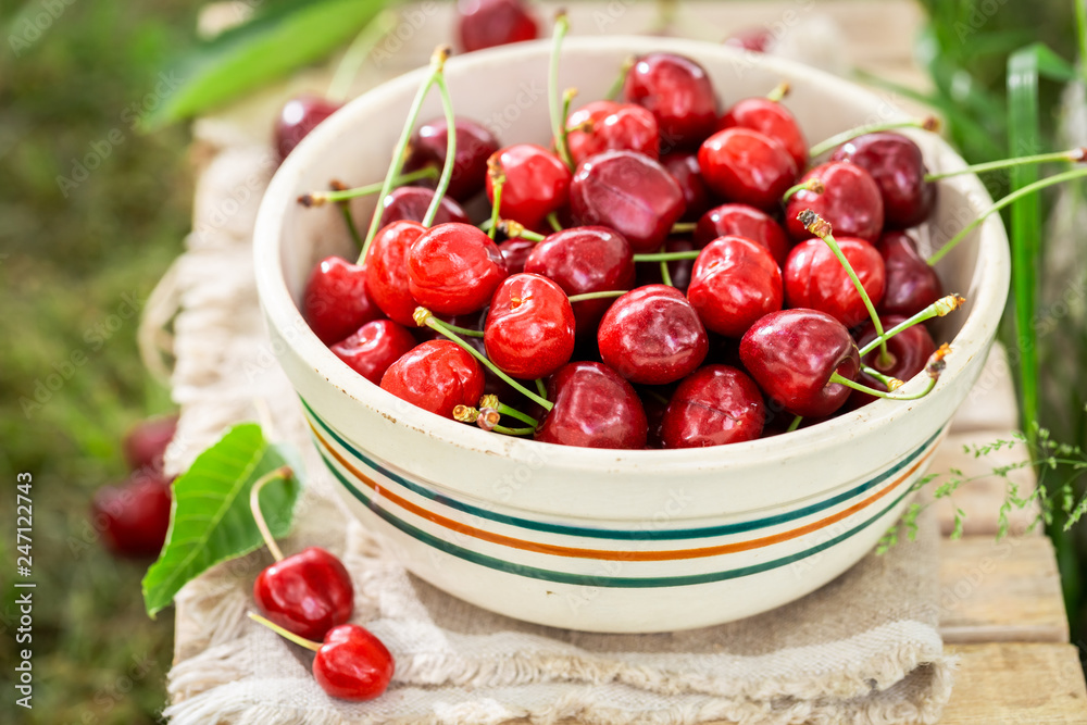 Full of vitamins sweet cherries in a sunny day