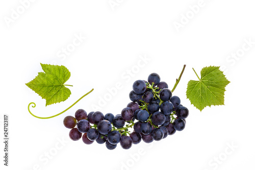 bunch of ripe Merlot grapes with leaves isolated on white background