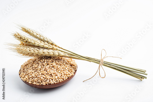 Wheat kernel and wheat spike