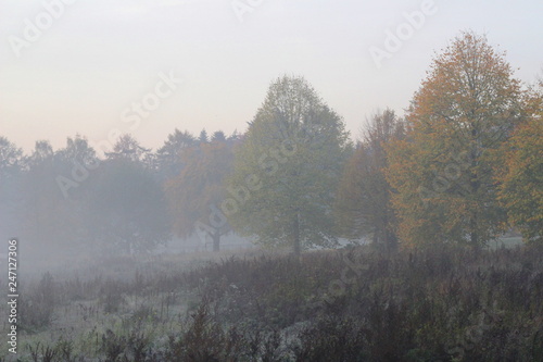 Misty mornings at a meadow during sunrise in November, autumn