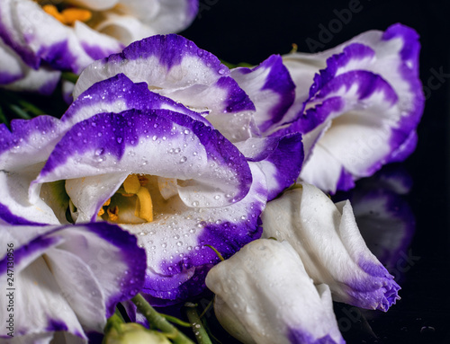 Lisianthus bouquet on isolated background