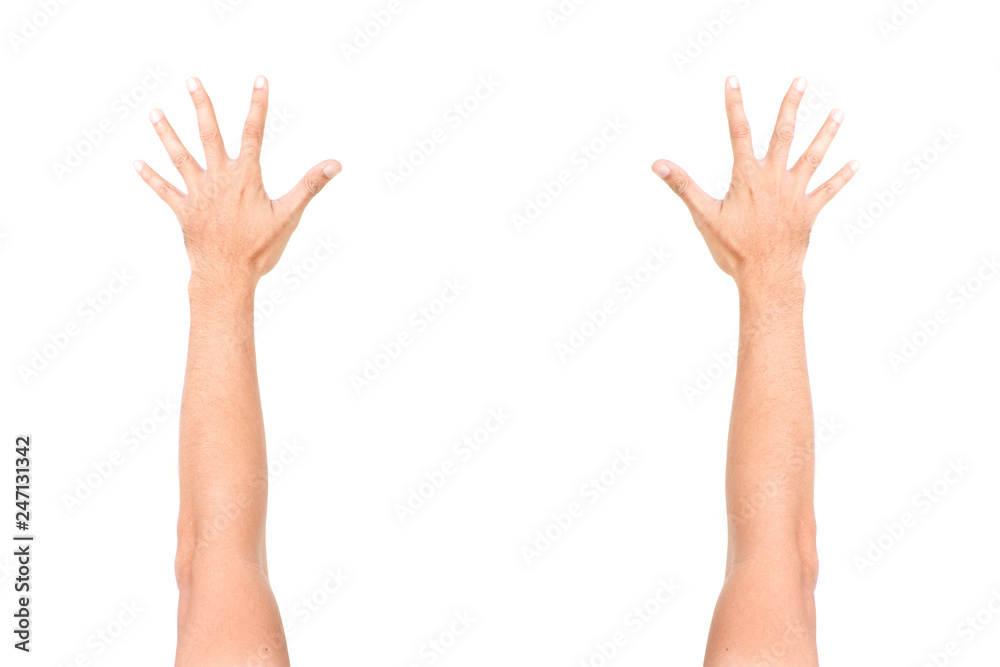 Male hand gestures isolated over the white background. Male hand gestures isolated over the white background.