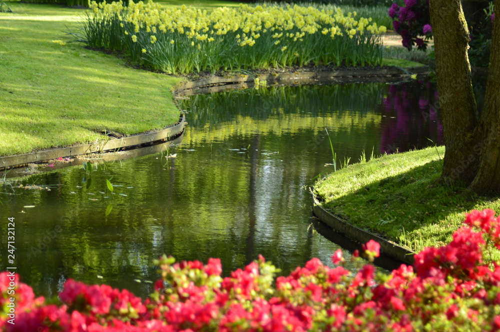 pond with flowers