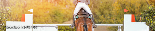 Horse horizontal banner for website header design. Rider in uniform perfoming jump at show jumping competition. Blur sunlight green trees as background.
