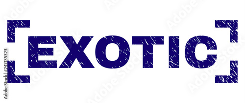 EXOTIC caption seal print with grunge texture. Text caption is placed inside corners. Blue vector rubber print of EXOTIC with unclean texture.