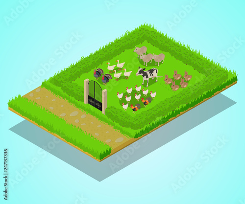 Livestock concept banner. Isometric banner of livestock vector concept for web, giftcard and postcard